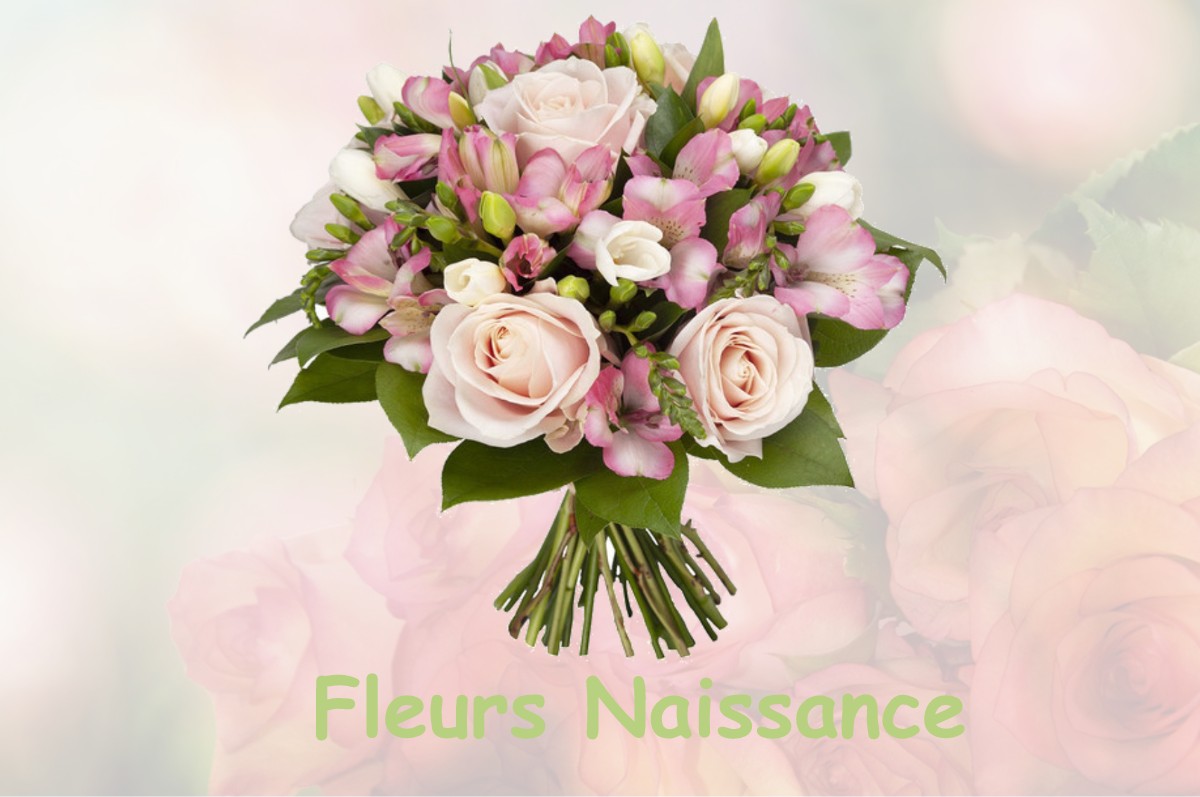 fleurs naissance NEVY-LES-DOLE